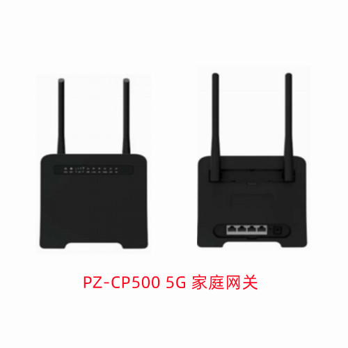 PZ-CP500